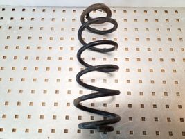 Volkswagen New Beetle Rear coil spring 