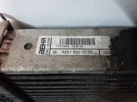 Mercedes-Benz ML W164 Chłodnica powietrza doładowującego / Intercooler A2515000000