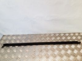 Volvo S60 Front door glass trim molding 