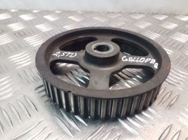 Hyundai Galloper Fuel pump gear (pulley) 