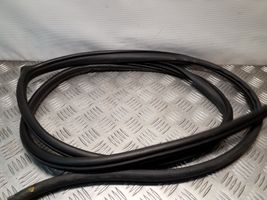 Opel Antara Rear door rubber seal (on body) 