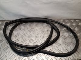 Opel Antara Rear door rubber seal (on body) 