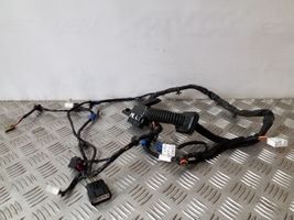 KIA Sorento Cablaggio porta anteriore 916102P330