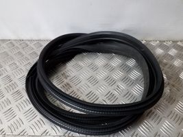 Ford C-MAX II Rear door rubber seal (on body) 