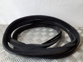 BMW 7 E65 E66 Front door rubber seal 