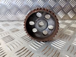 Dodge Nitro Fuel pump gear (pulley) 