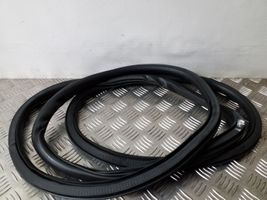 Opel Mokka Front door rubber seal 