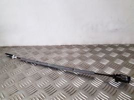 Ford Focus Rear door cable line 926422105