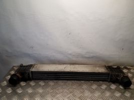 Volkswagen Sharan Radiatore intercooler 1320027