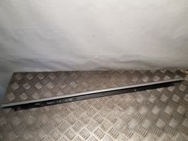 Audi A4 S4 B7 8E 8H Rear door glass trim molding 