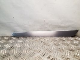 Volkswagen PASSAT CC Rivestimento della portiera posteriore 3C8868824