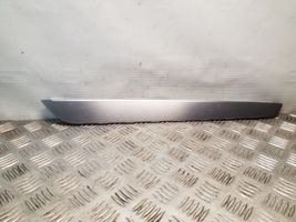 Volkswagen PASSAT CC Rivestimento della portiera posteriore 3C8868823