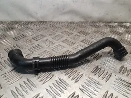 Volkswagen PASSAT B5.5 Breather hose/pipe 038103493AE