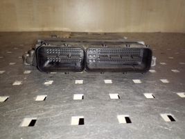 Hyundai Santa Fe Sterownik / Moduł ECU 3911327825