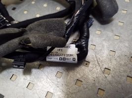 Renault Kadjar Otros cableados 241607199R