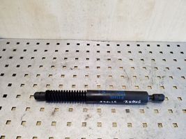 BMW 5 F10 F11 Rear window strut damper 1312120425N