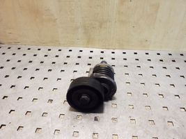 Skoda Fabia Mk2 (5J) Napinacz paska alternatora 038903315AH