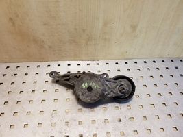 Volkswagen Jetta V Generator/alternator belt tensioner 03G903315C