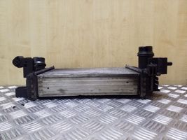 Opel Meriva B Chłodnica powietrza doładowującego / Intercooler R3451004