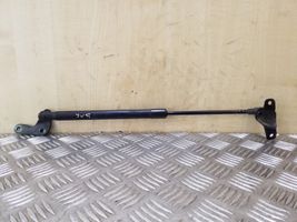 BMW 1 E81 E87 Tailgate/trunk strut/damper 51247060622