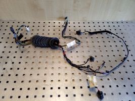 Volkswagen Crafter Front door wiring loom A9060005999