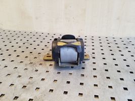 Renault Scenic RX Roof seat belt 