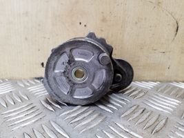 Land Rover Freelander 2 - LR2 Napinacz paska alternatora 16183P