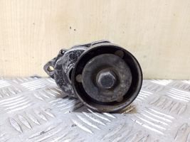 Opel Frontera B Tendicinghia generatore/alternatore 90500229AA