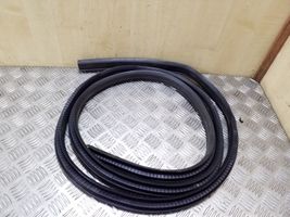 Ford Kuga II Front door rubber seal 