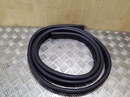 Ford Kuga II Front door rubber seal 