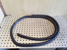 Audi A3 S3 8P Rear door rubber seal (on body) 