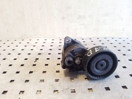 Mercedes-Benz ML W163 Tendicinghia generatore/alternatore A6112000570