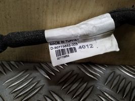 Volvo S80 Faisceau de câblage de porte avant 30773652