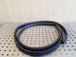 Opel Antara Front door rubber seal 