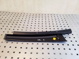 Mercedes-Benz C W204 Rivestimento portiera posteriore (modanatura) 