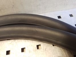 Opel Zafira C Front door rubber seal 13259937