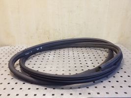 Ford Focus C-MAX Front door rubber seal 