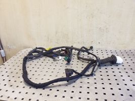 Opel Antara Cablaggio porta anteriore 95491034