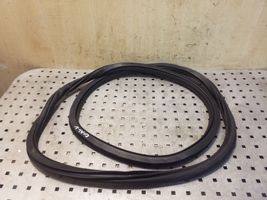 Volkswagen Polo V 6R Rear door rubber seal (on body) 6R6867911B