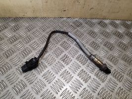 Seat Exeo (3R) Sonde lambda 03L906262