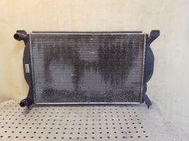 Seat Exeo (3R) Dzesēšanas šķidruma radiators 8E0121251A