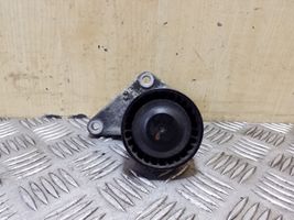 Volkswagen Touareg II Poulie renvoi/transmission, courroie 059145174A