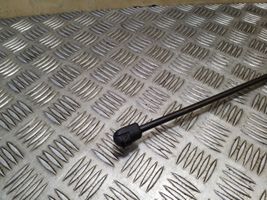 Volkswagen Touareg II Tailgate strut 7P682755003S