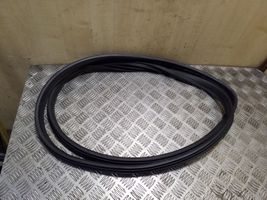 Opel Astra H Front door rubber seal 13200153