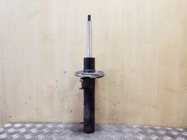 Volkswagen Tiguan Front shock absorber/damper 