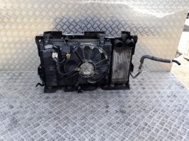 Peugeot 508 Radiatoru panelis (televizors) 9685794280