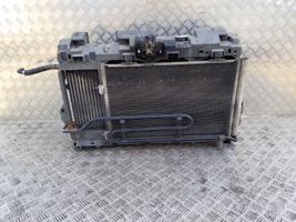 Peugeot 508 Radiatoru panelis (televizors) 9685794280