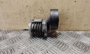 Volkswagen Polo IV 9N3 Tendicinghia generatore/alternatore 038903315