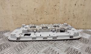 Volkswagen PASSAT CC Illuminazione sedili posteriori 3C0947291E