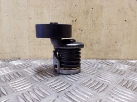 Volkswagen Tiguan Tendicinghia generatore/alternatore 038903315AH